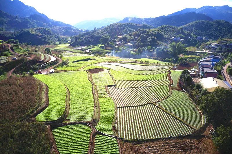鎮(zhèn)康：34萬畝坡坎地變良田 農(nóng)民滿了糧倉笑開顏