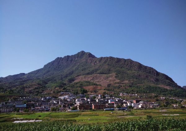 鳳尾鎮(zhèn)鎮(zhèn)情概況