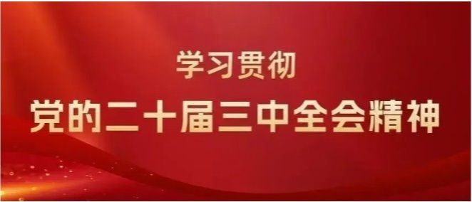 縣綜合行政執(zhí)法局 | 以“三學(xué)”模式推動學(xué)習(xí)貫徹黨的二十屆三中全會精神走“新”更走心