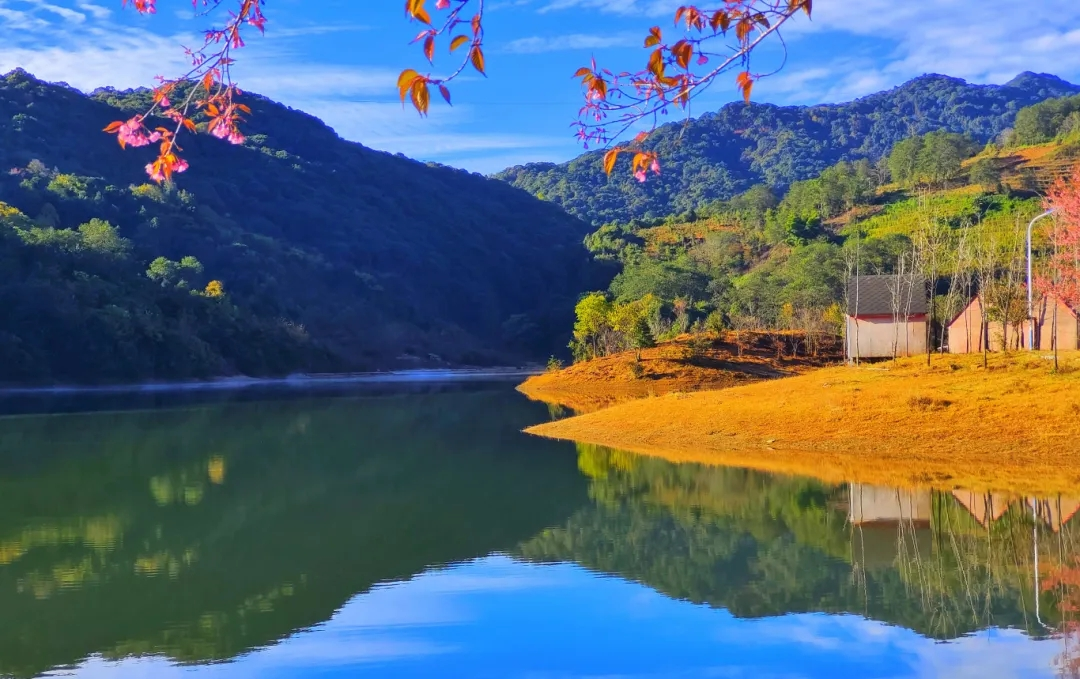 木場(chǎng)鄉(xiāng)鄉(xiāng)情概況